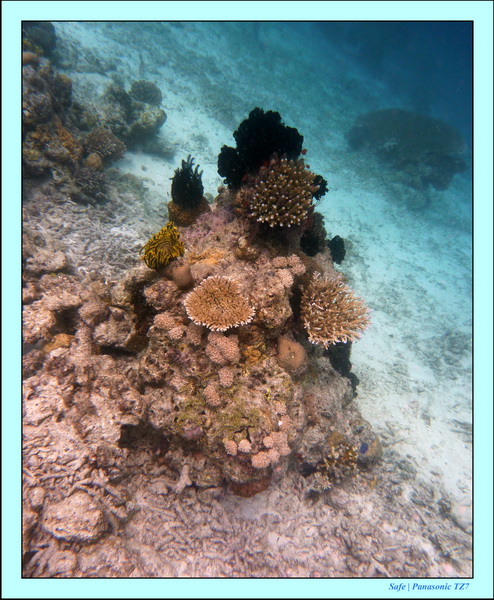 2009   07   Matakin 34